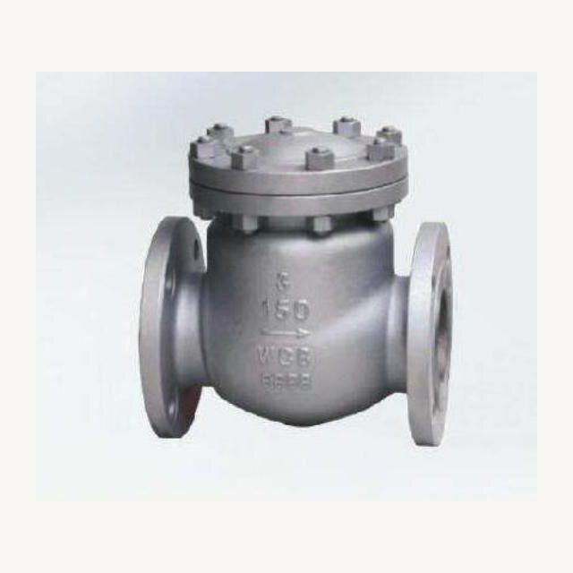 Swing Check Valve